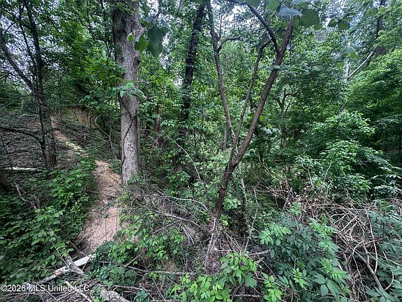5th image of 1830 Woodlawn Ave