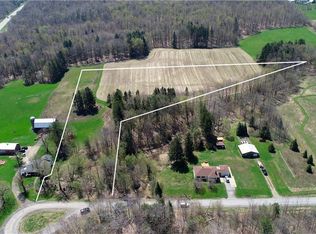 Eiss Hill Rd, Hamburg, NY 14075