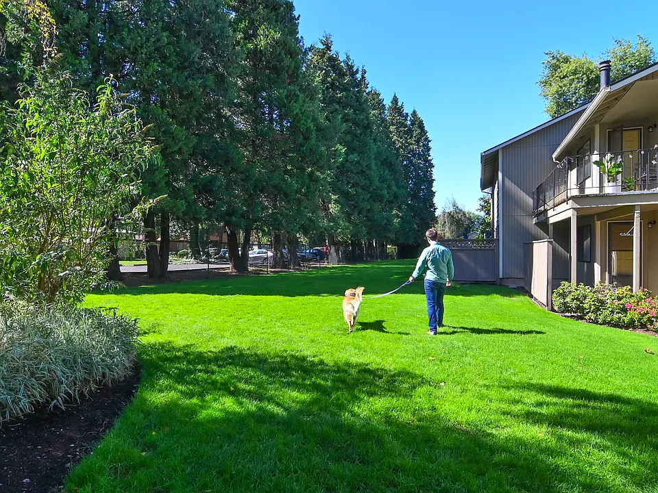 Kentfield Apartments & Pond Homes