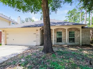 199 S Delta Mill Cir, Conroe, TX 77385