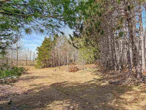 4th image of Tbd E Mitchell Rd