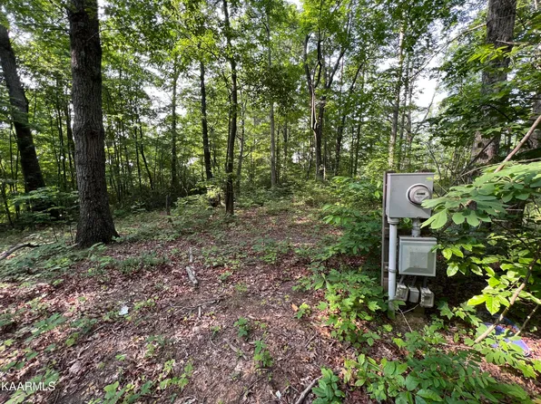 1475 Doe And Fawn Ln, Crawford, TN 38554