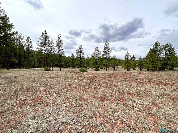 4th image of Forest Rd #157