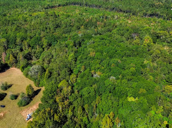 520 Doe Run Rd, Marion Junction, AL 36759