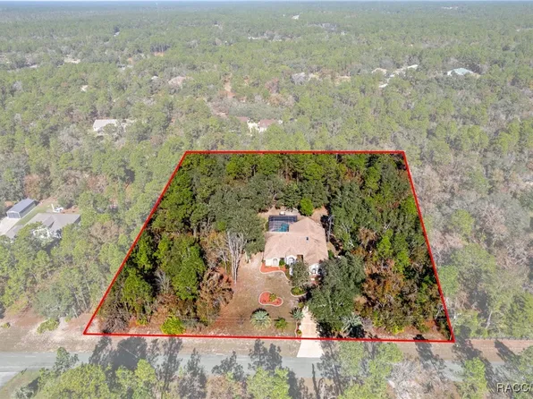 3135 N Buckhorn Dr, Beverly Hills, FL 34465