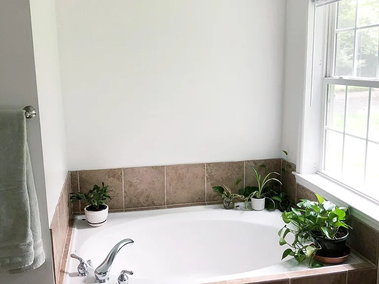 Master bath garden tub