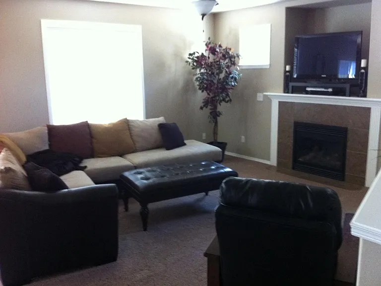 1505 Purple Sage St — Photo 3