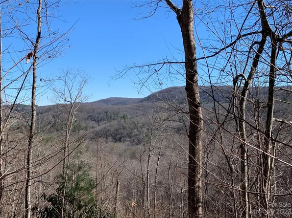 Pleasant Grove Church Rd #2, Hendersonville, NC 28792