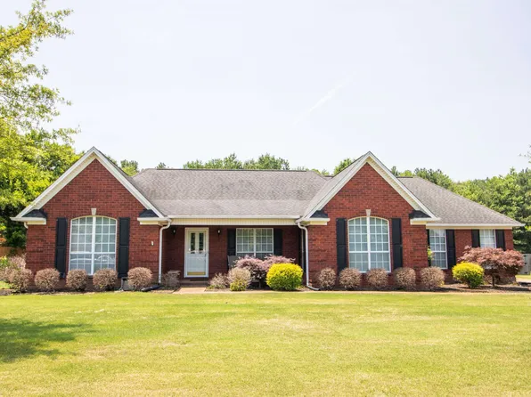 47 Chamblee Cv, Three Way, TN 38343