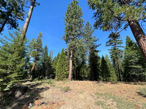 69133 Guidici Ln, Graeagle, CA 96103