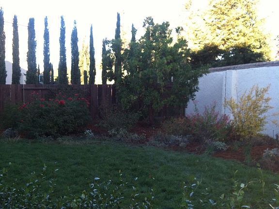 4th image of 930 Saddlehorn Ct