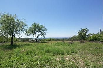 3rd image of 2903 Freedom Cir