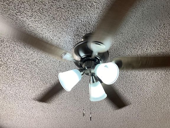 Electric central air and heat, energy-efficient windows and ceiling fans throughout.