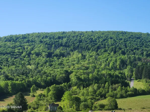 Elk Grove Rd, Muncy Valley, PA 17758