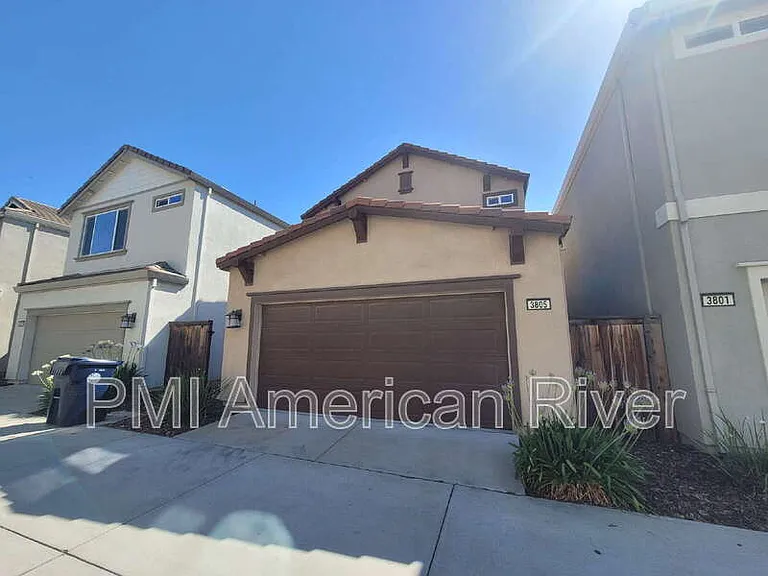 3805 Amelia Rose Way — Photo 18