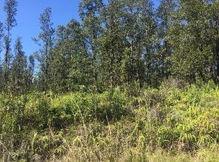 Road 4, Mountain View, HI 96771