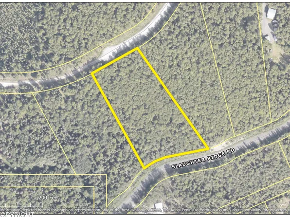 L18 Slaughter Ridge Rd, Cooper Landing, AK 99572