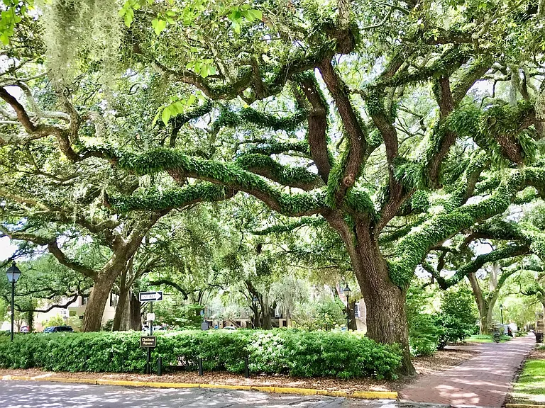 Chatham Square