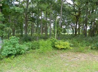 760 Browns Ferry Rd, Georgetown, SC 29440