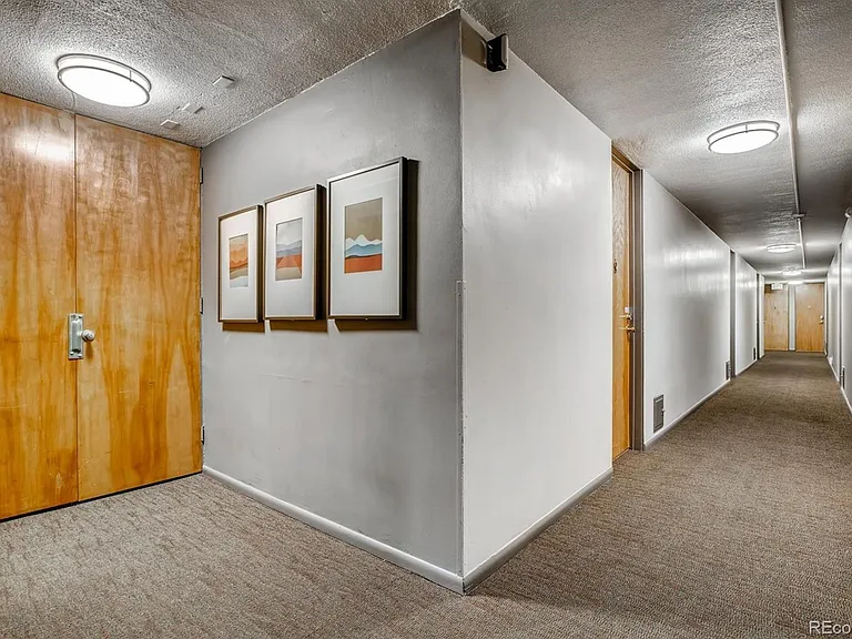 1050 N Corona St #115 — Photo 20