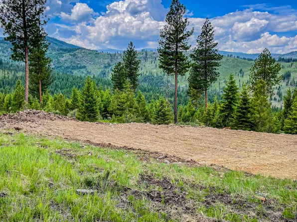 4 W Combest Creek Rd, Plains, MT 59859