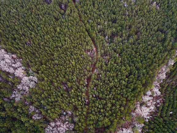 5th image of 0 Pea Ridge Rd