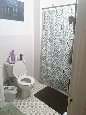 Rented by Guardian Property Management of Brooklyn LLC | media 9