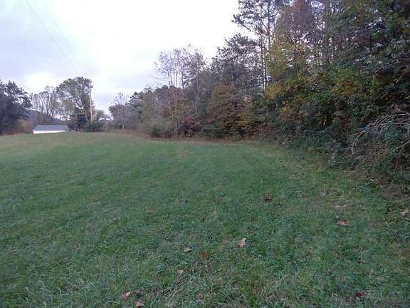 4th image of 361 Powell Valley Marina Dr