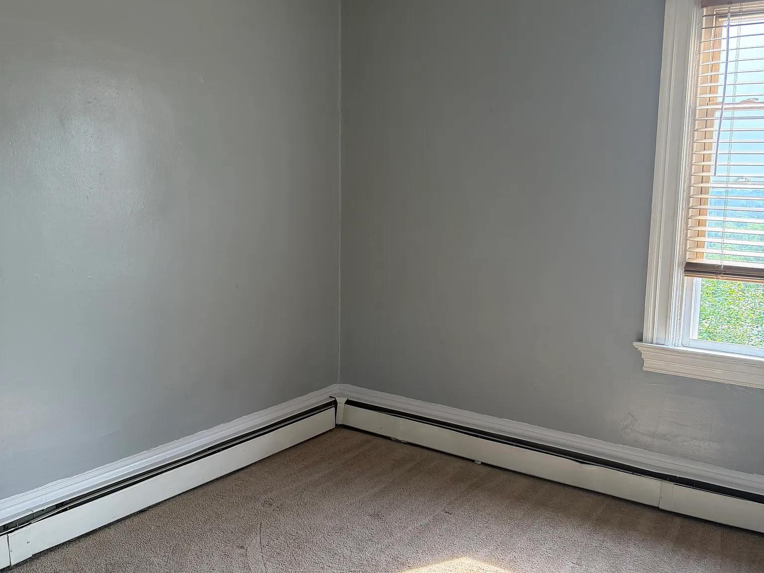 1229 Brownsville Rd — Photo 3