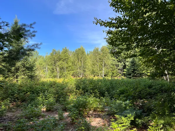 lot 6 & 8 Franklin Realty Road, Haynesville, ME 04497