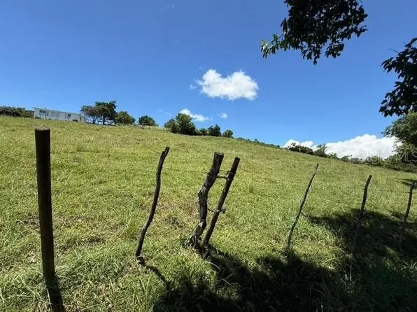 Bo Llanos Tuna, Cabo Rojo, PR 00623