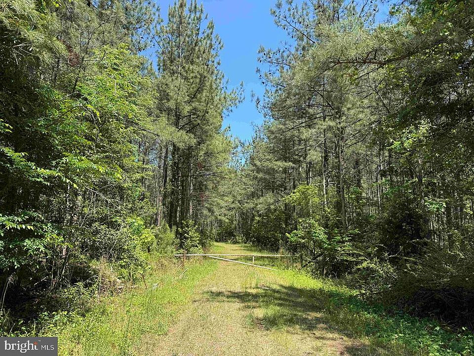 1st image of Brantley Moore Turnpike Tract Azalea Comp #17