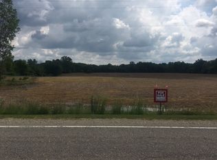 Wacousta Road Vacant, Eagle, MI 48822