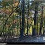 2635 Garnet Dr, Ellijay, GA, 30540