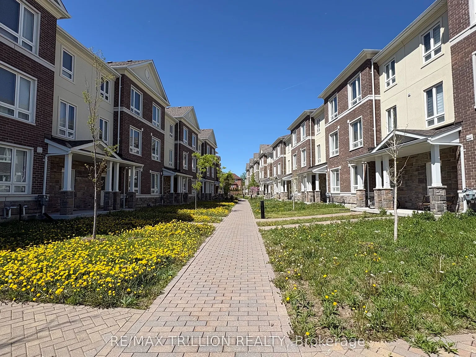 4 bed, $3,500 — Photo 4