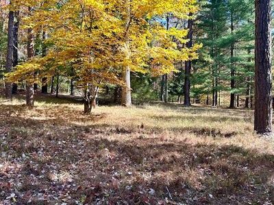 17000 State Forest Rd, Laurelville, OH, 43135