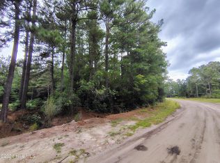 Lot 45 Near 519 Deer Lane LOT 45, Tabor City, NC 28463