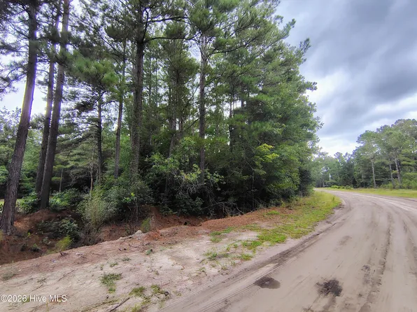 Lot 45 Near 519 Deer Lane LOT 45, Tabor City, NC 28463
