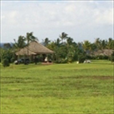 2nd image of LOT 69