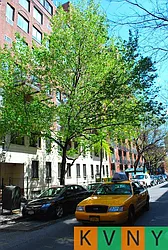 Rented by KVNY Soho