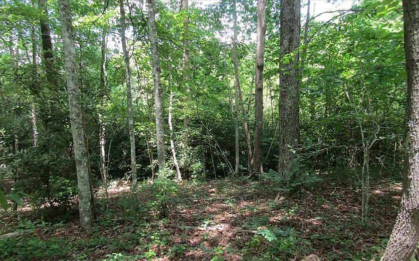 1st image of Brookhaven Ln
