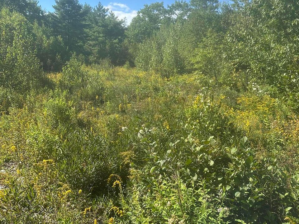 1st image of Lot 4 W Side Unionville Road