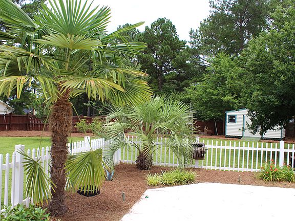 Tropical landscaping 