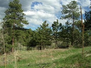 320 Overlook Dr, Bailey, CO 80421