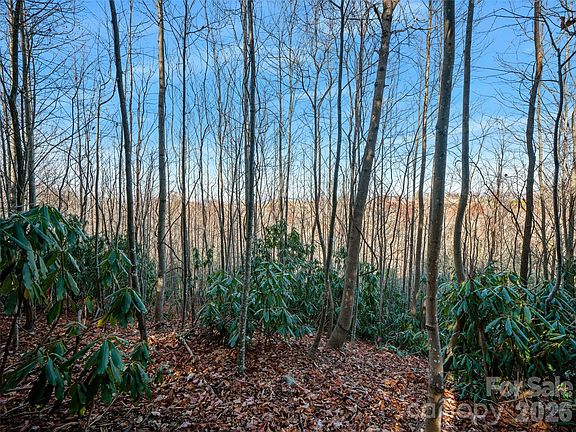 5th image of 99999 Bay Laurel Ln #1905