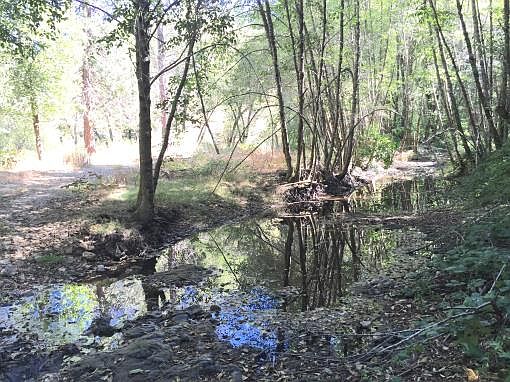 2nd image of 7100 Canyon Creek Rd