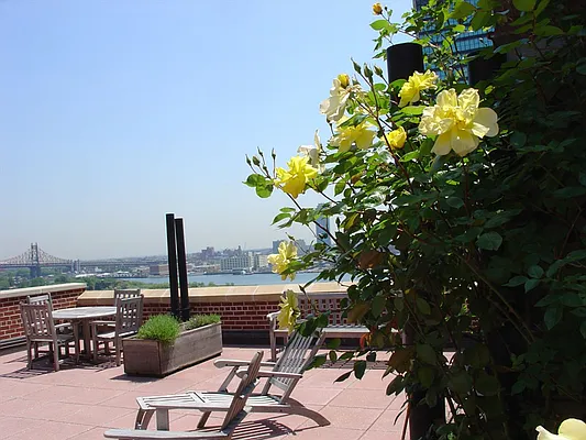 Sold by Corcoran | media 20