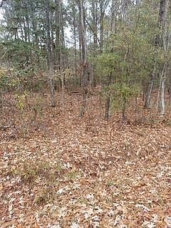 2nd image of LOT 205 Prices Bridge Ln
