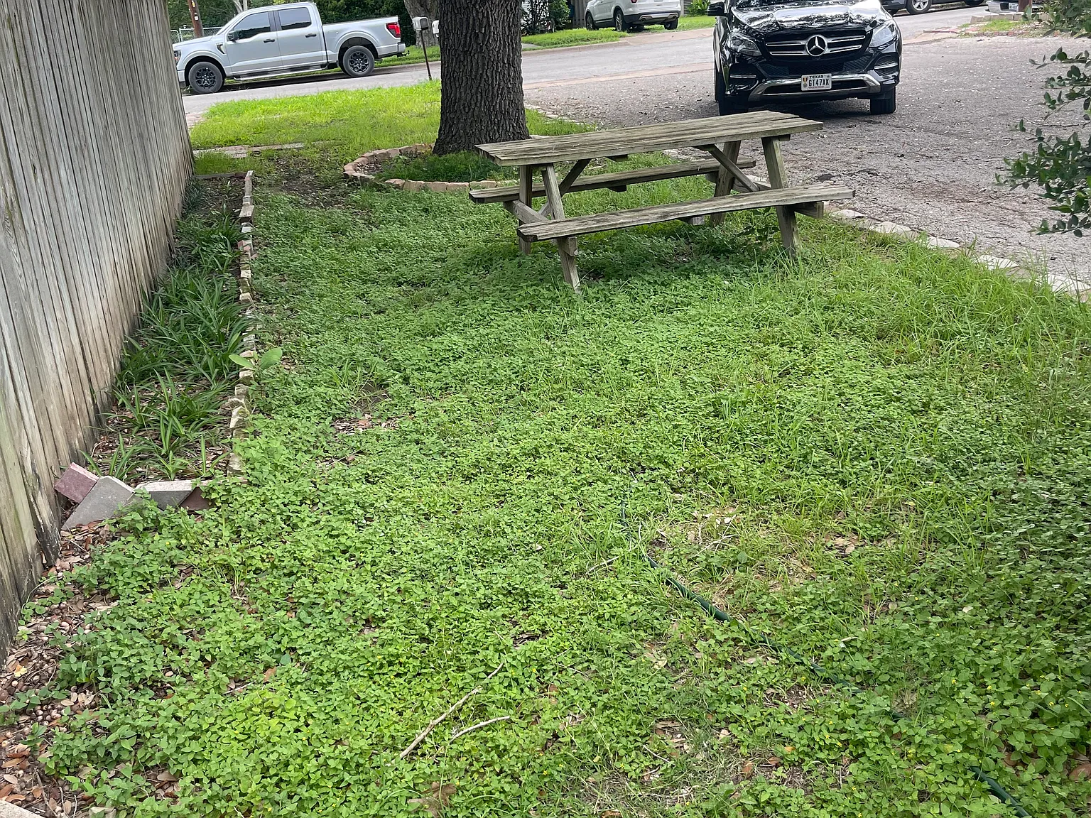 2 bed, 1000 sqft, $1,100 — Photo 2