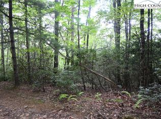 Tbd Endless Vw, West Jefferson, NC 28694